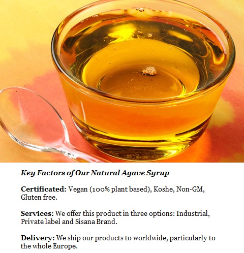 Key Factors of our Natural Agave Syrup
